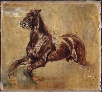 Study of a horse